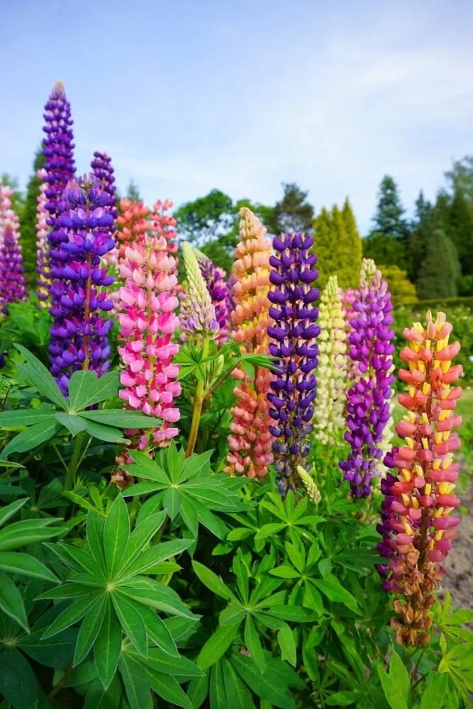14034